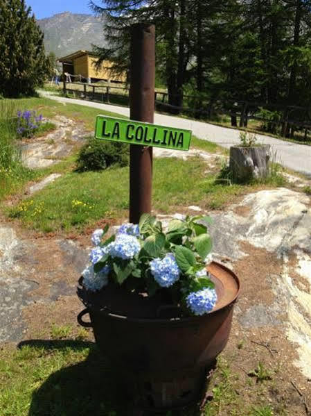 Hotel La Collina Saas-Fee Buitenkant foto